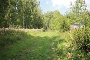 Как срочно получить выписку из ЕГРН